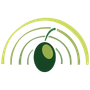 Radio Zitouna FM